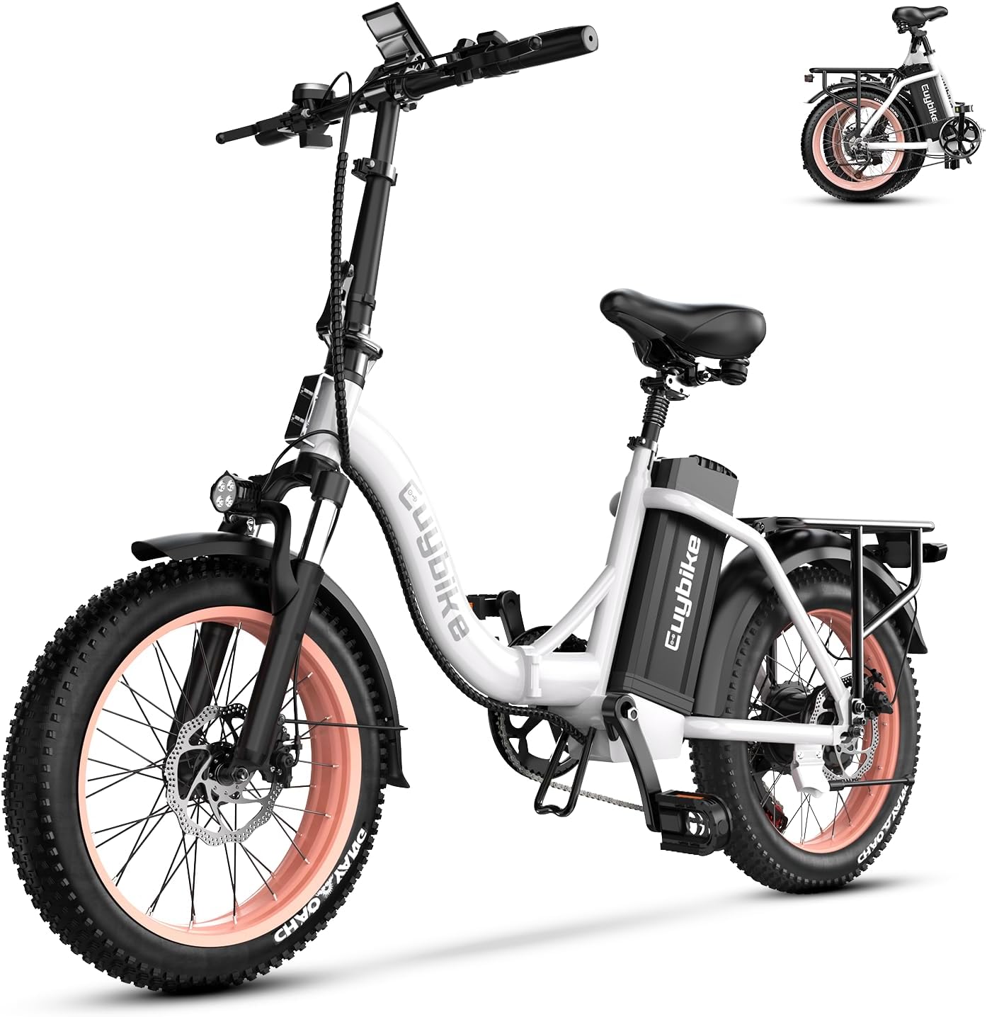 Folding Electric Bike