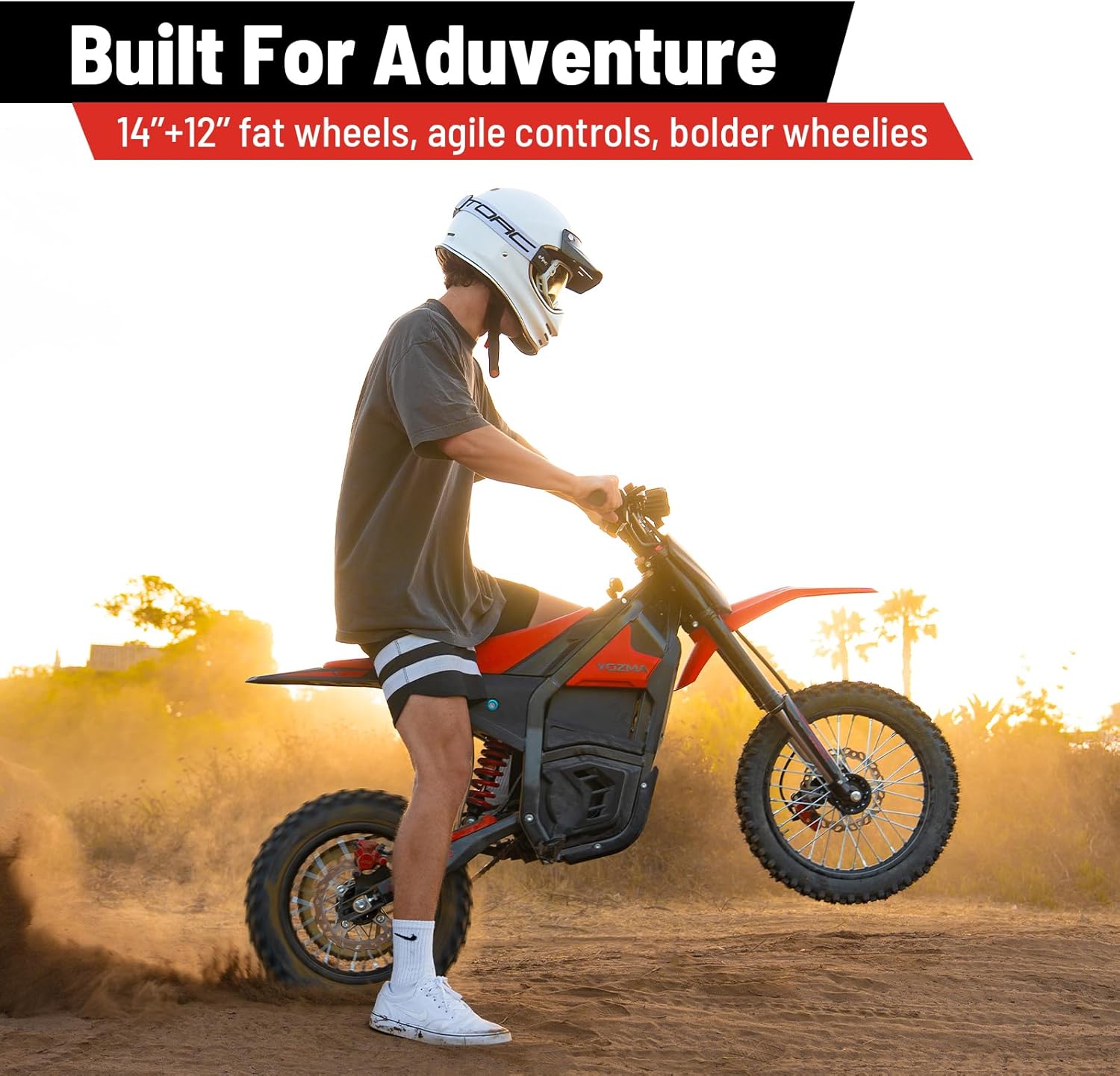 IN10 Electric Dirt Bike for Teens Adults, 2600W Mid-Drive Motor and 40MPH Electric Motorcycle