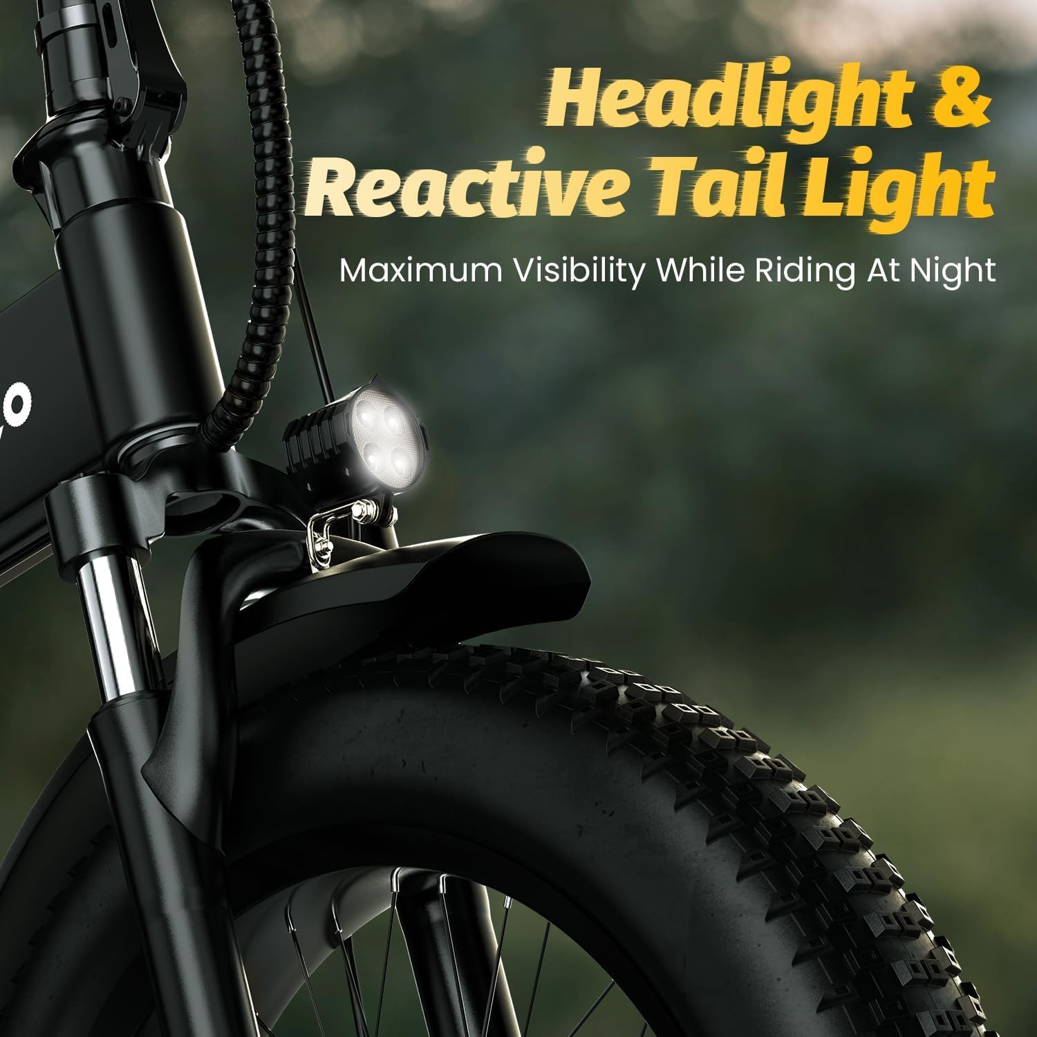 1000W Folding Electric Bike