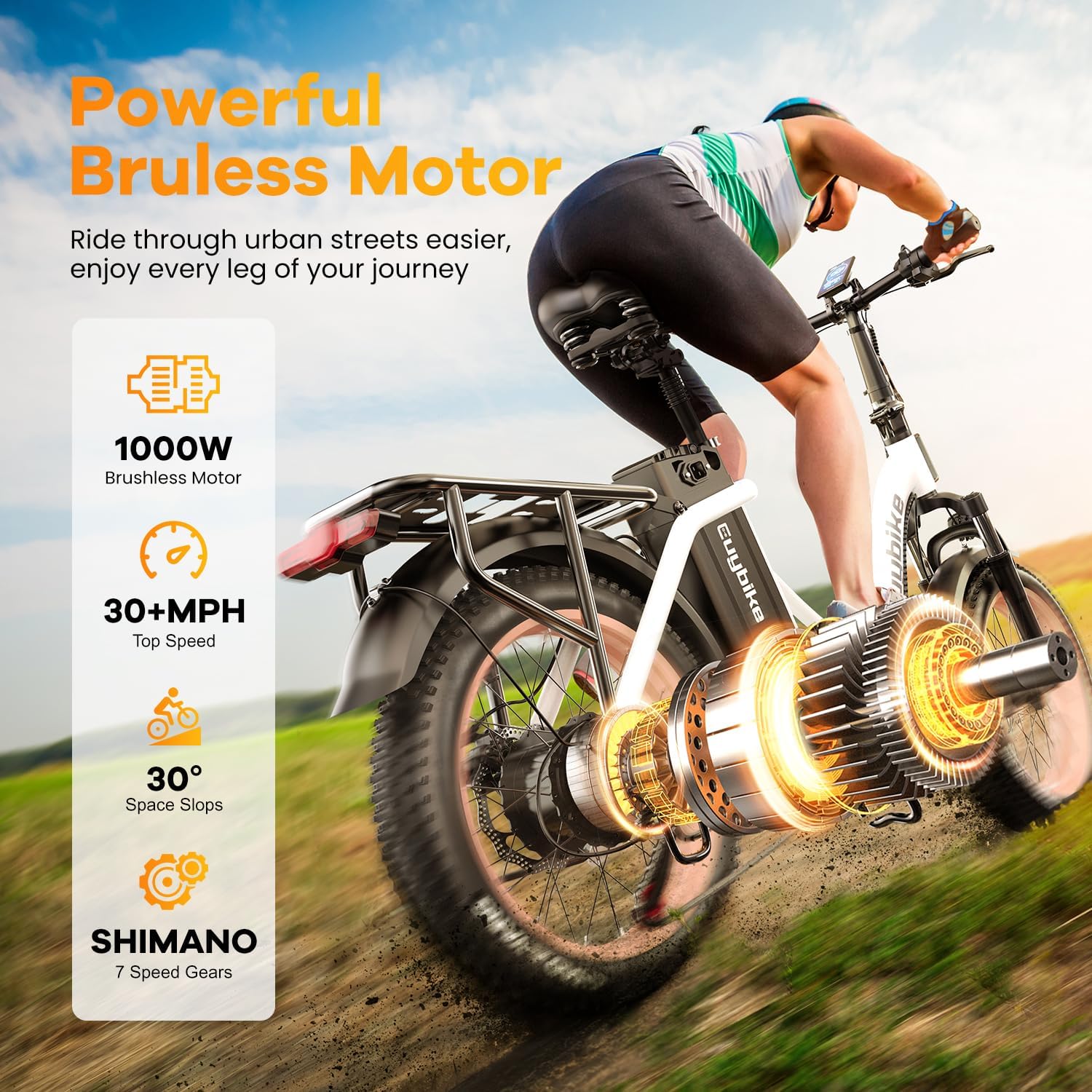 Folding Electric Bike