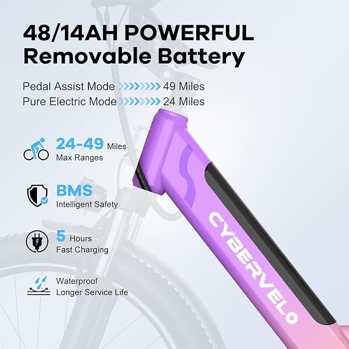 1000 Peak Electric Bike