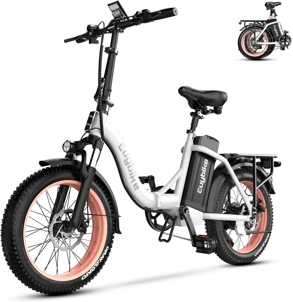 Folding Electric Bike