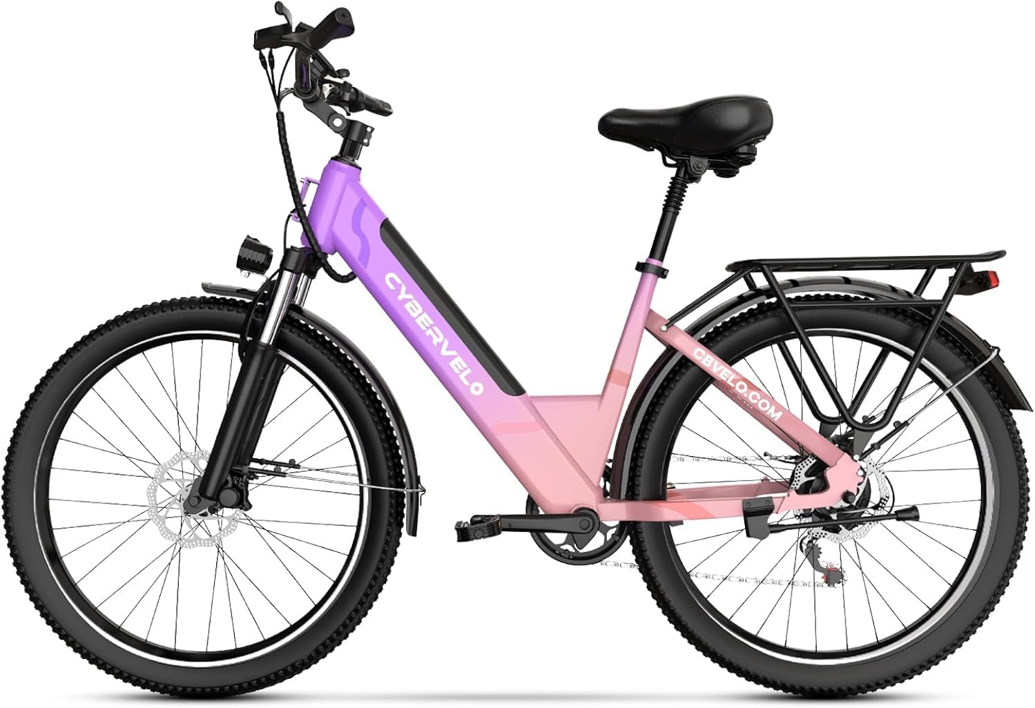 1000 Peak Electric Bike