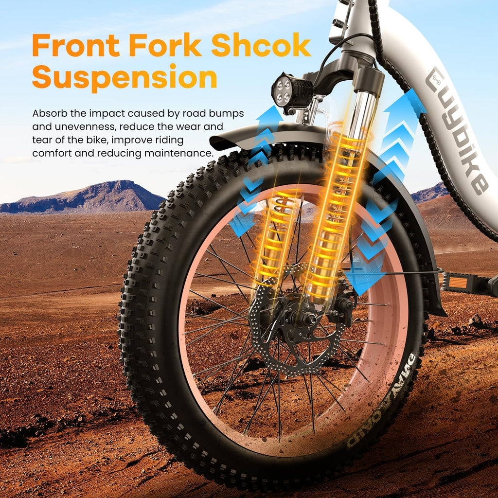 Folding Electric Bike