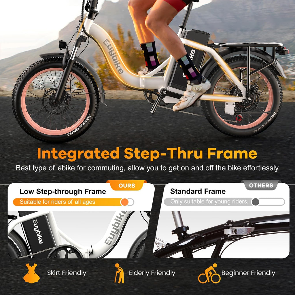 Folding Electric Bike