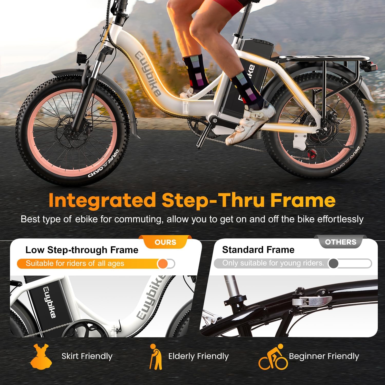 Folding Electric Bike